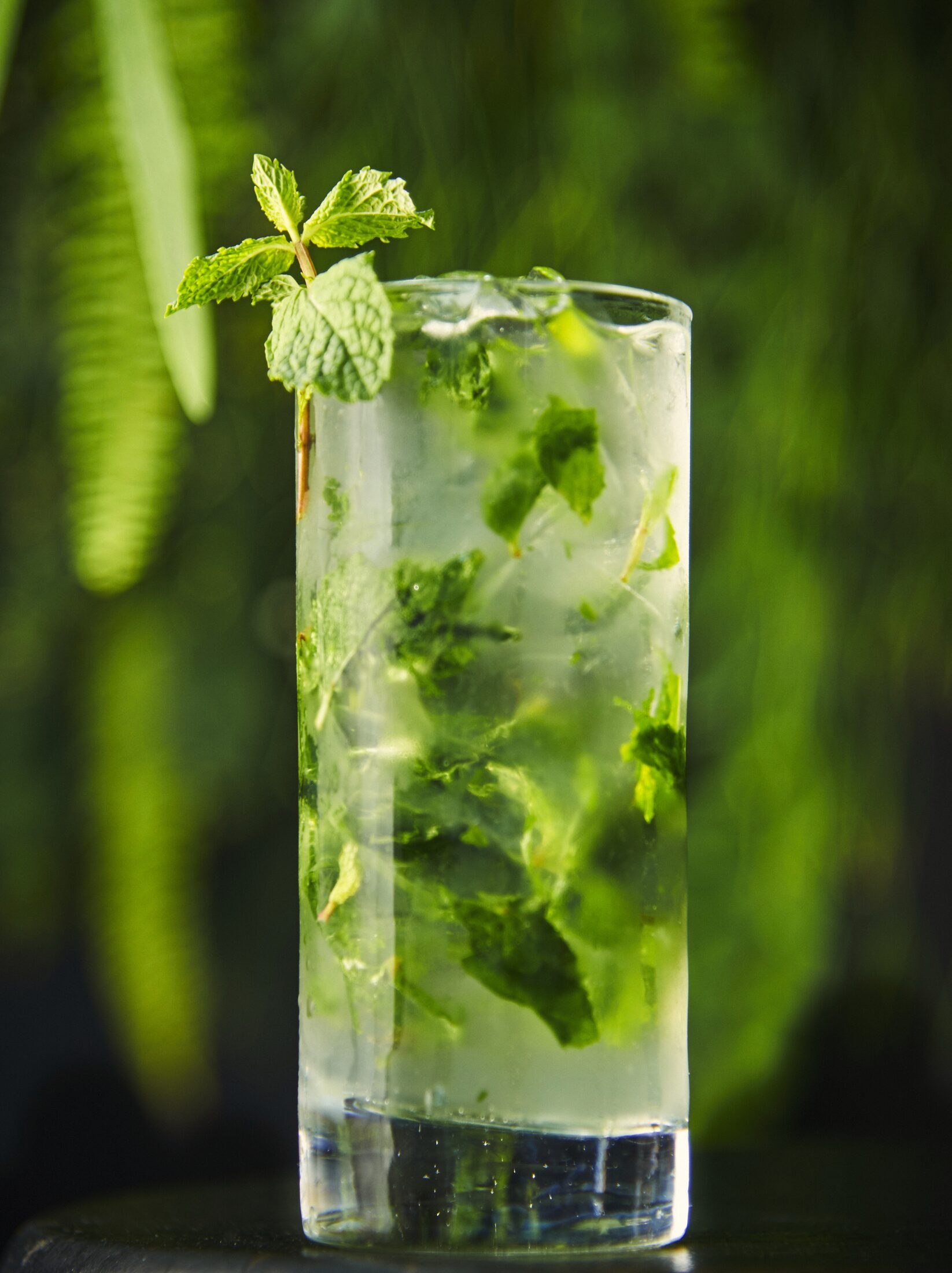 Mojito com hortelã sobre fundo verde